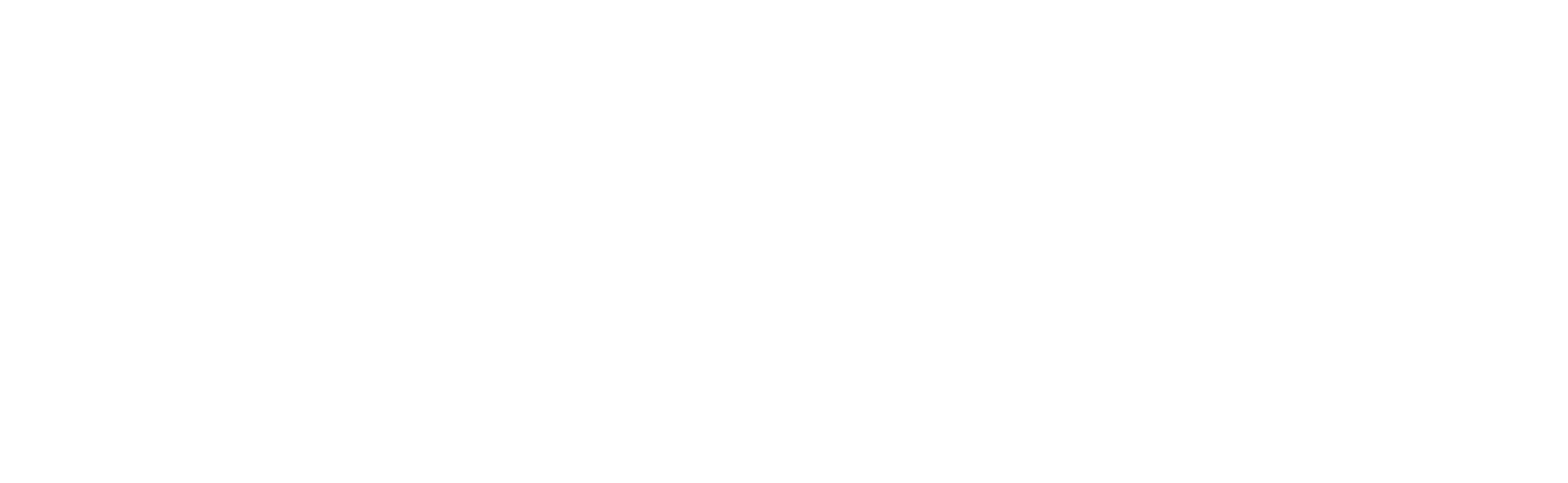 Elahi Empex